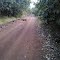 Estrada para Rio Verde
