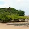 Manguezal - Ilha do Livramento - Alcântara - MA
