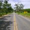 BR 259. FOTO TIRADA ENTRE O POSTO DALLAS E O TREVO DE HONÓRIO FRAGA