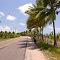 Al-101 - Piaçabuçu - Alagoas