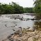 Rio Cupari Braço Leste no Balneário Ponte Grande Município de Rurópolis