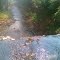 cachoeira.......