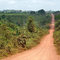102.森林消失の軸、アマゾン横断道路　Transamazônica as an axis of deforestation