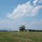 Gramling Homestead sporting that Blue Wall Backdrop.  Now if only we could do something about those power lines.