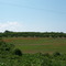 Gramling Mill Rd Peach Orchard