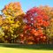 Last Color in Polk County