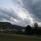 leopoldina