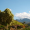 MG- BRASIL