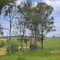 Fazenda em Dores do Indaia