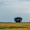 Paragominas-PA