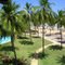 palms and a quite beach