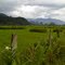 Vista da estrada de Graúna