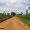 ROD. MA - 362 EM FORTUNA - MA BRASIL