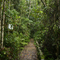 Parque Natural Municipal São Francisco de Assis - Entrada