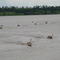I expedição River Paranaíba MS