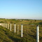 Estrada