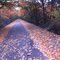 North Bank Bike Path