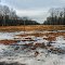 Clearing for M-231 at Sleeper St.