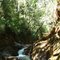 Cachoeira - Macacos