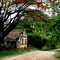 Uma velha tapera (Arcos-mg)