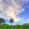 Paisagem perto da cidade de Formiga-mg