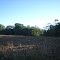 Cadastro de Compromisso Socioambiental - Fazenda São Martinho I e II - Cadastrada desde 2011