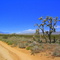 half in the middle of nowhere