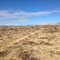 Burned Up Desert
