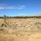 Dirt Bike Track