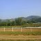 POUSO ALEGRE - MINAS GERAIS, BRASIL