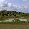Lake beside the BR324 road, between Salvador and Feira de Santana, Bahia, Brazil