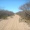 Estrada de areia no meio da caatinga.