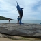 El  pez espada de Guaraparí