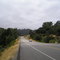 Highway 46, near Cambria