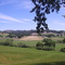 Oso Libre Vineyard - Paso Robles