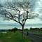 Parque da cidade