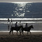 Carpinteria Beach Sunset - http://community.webshots.com/user/firehouse16