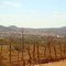 Vista Panoramica de Gentio do Ouro