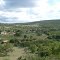 TIRIRICA