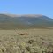 Costilla Meadows