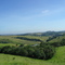 Vale verde