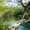 Barra do Rio Curu II