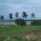 275 ha - Fazenda Baia São Gonçalo - Contatos: 55 (85) 3242-3020