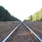 Linha do trem na Floresta do Lobo
