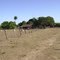 Fazenda do Srº Lazaro Branco