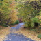 Backroads of Connecticut