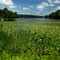 Long Meadow Pond, Bethlehem CT