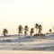 Dunas