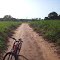 passeio de bicleta