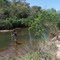 RIO CAMPO GRANDE QUASE SECO
